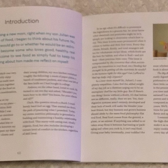 The Big Book of Organic Baby Food - Picture 4 of 6